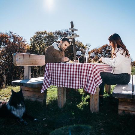 Rifugio Baita Fos-Ce ブレントーニコ エクステリア 写真