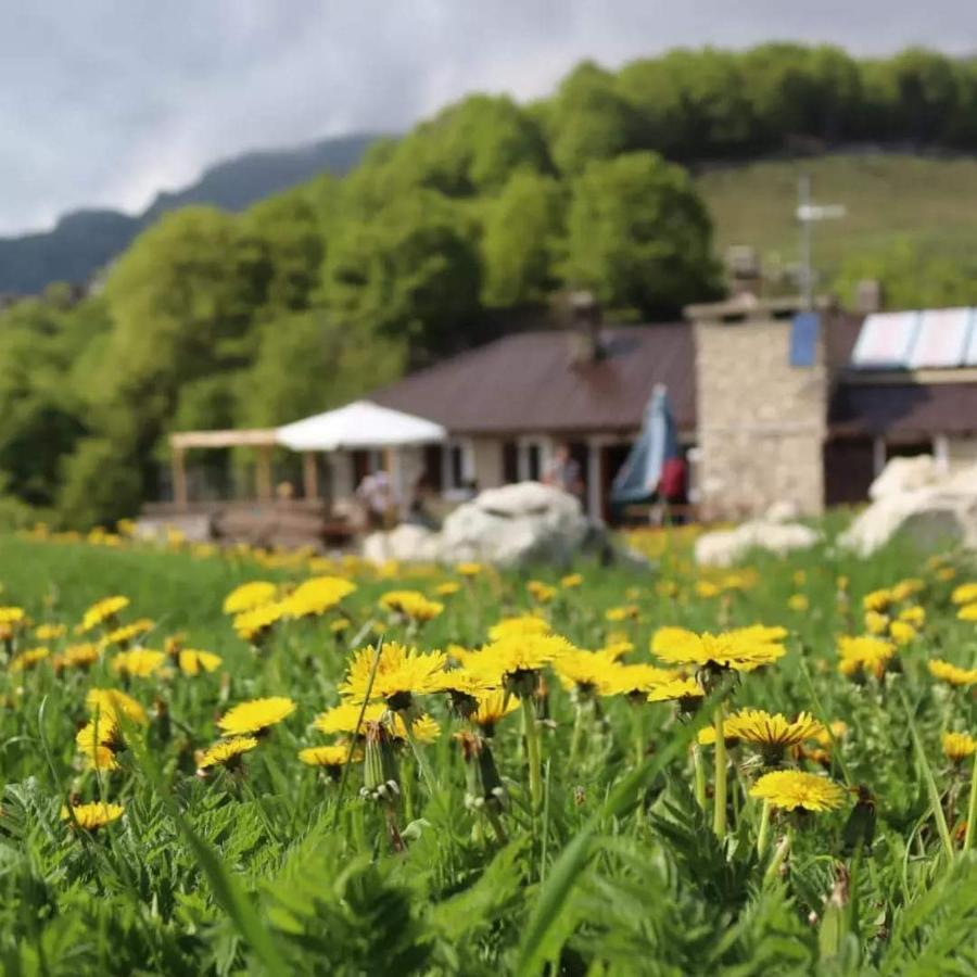 Rifugio Baita Fos-Ce ブレントーニコ エクステリア 写真